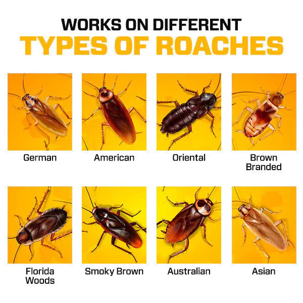 Natural Cockroach Killer Gel